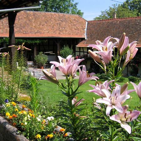 Le Gite Des Ecureuils Schalkendorf ภายนอก รูปภาพ