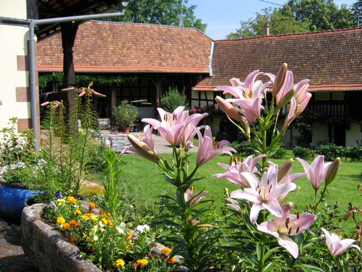 Le Gite Des Ecureuils Schalkendorf ภายนอก รูปภาพ