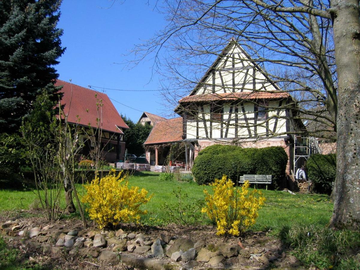 Le Gite Des Ecureuils Schalkendorf ภายนอก รูปภาพ