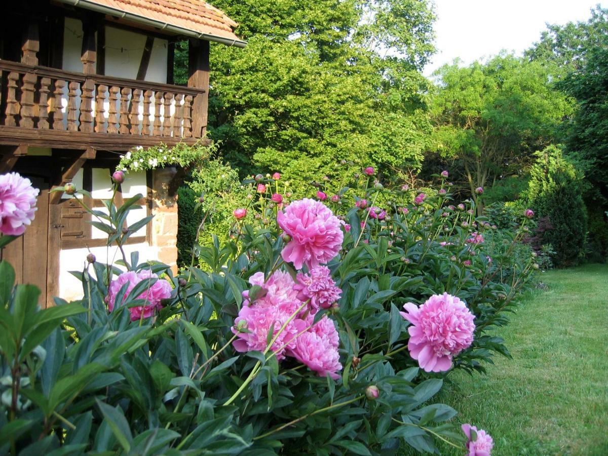Le Gite Des Ecureuils Schalkendorf ภายนอก รูปภาพ